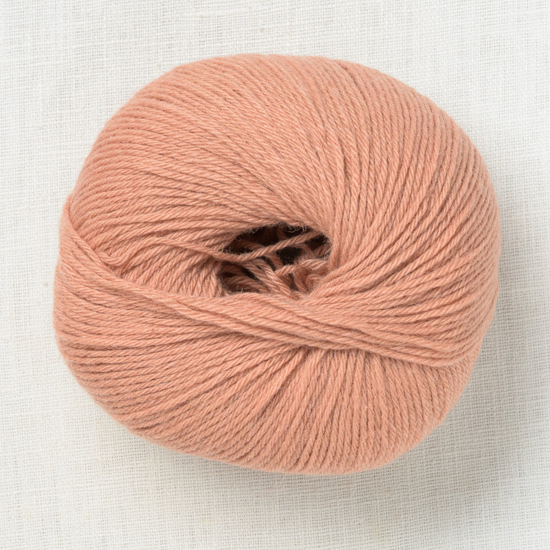 mYak Baby Camel Desert Rose