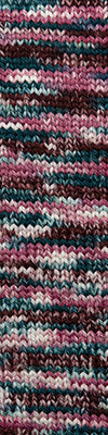Cascade 128 Superwash Hand Paints 717 Rose Bush swatch