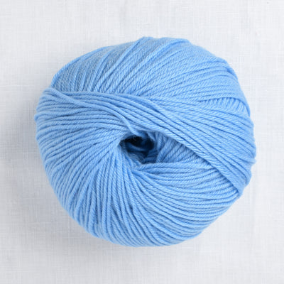 Cascade 220 Superwash 846 Blue