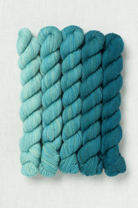 Sweet Georgia Party of Five Tough Love Sock Mini Skein Set Swell