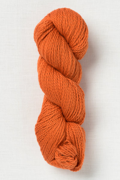 Blue Sky Fibers Organic Cotton Sport 222 Pumpkin