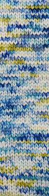 Cascade 128 Superwash Hand Paints 707 Tropics swatch