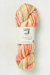 Juniper Moon Farm Cumulus Dappled 152 Fiji Islands