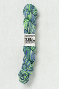 Koigu Painter's Palette Premium Merino KPPPM P067