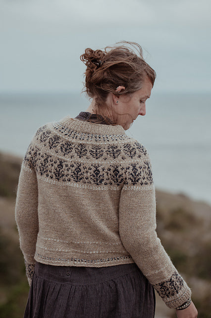 Laine The Island and the Forest by Lotta H. Løthgren & Arika Åberg