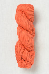 Amano Turay 2303 Coral Reef