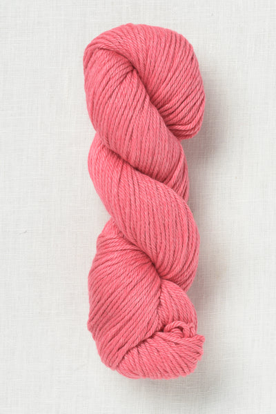 Amano Turay 2302 Flamingo