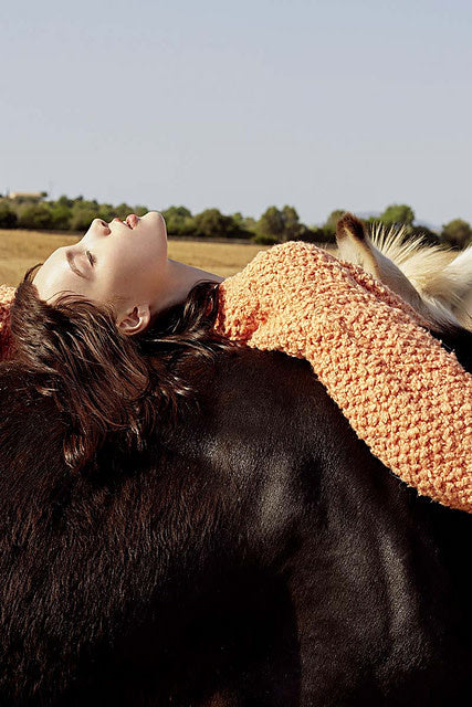 Knit Wit