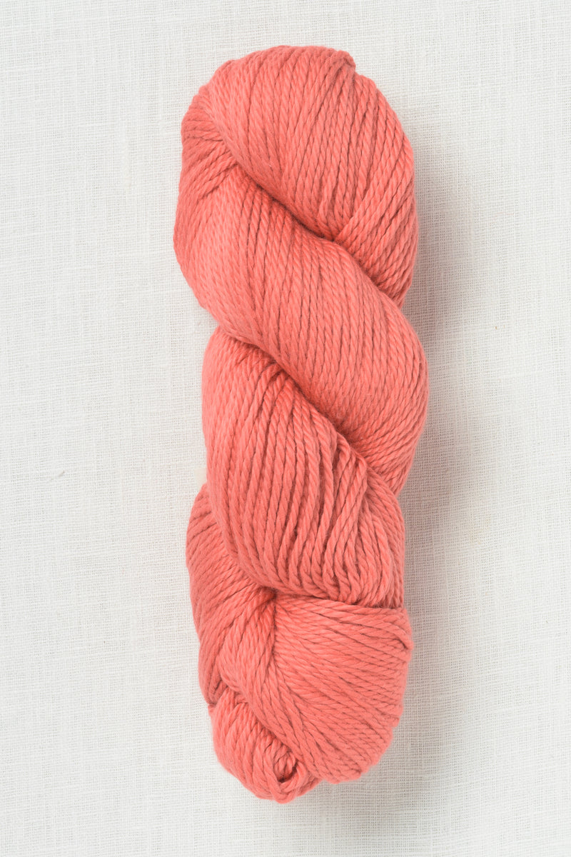 Amano Sami XL 2405 Coral